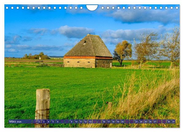Produktbild: Ein Blick auf die Insel Texel (Wandkalender 2026 DIN A4 quer), CALVENDO Monatskalender