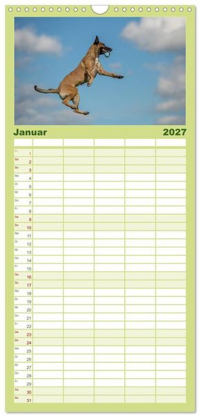 Produktbild: Familienplaner 2027 - Belgischer Sch&auml;ferhund - Der Malinois in Action mit 5 Spalten (Wandkalender, 21 x 45 cm) CALVENDO