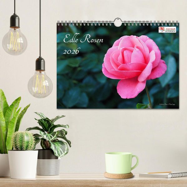 Produktbild: Edle Rosen (Wandkalender 2026 DIN A4 quer), CALVENDO Monatskalender