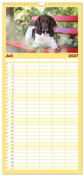 Produktbild: Familienplaner 2027 - Passion Jagdhund - Kleiner M&uuml;nsterl&auml;nder mit 5 Spalten (Wandkalender, 21 x 45 cm) CALVENDO