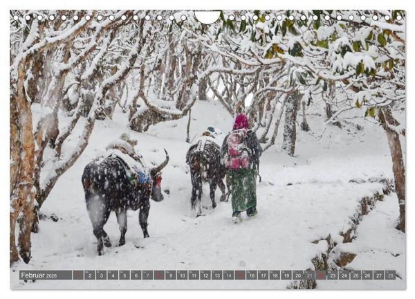 Produktbild: Himalaya (Wandkalender 2026 DIN A4 quer), CALVENDO Monatskalender