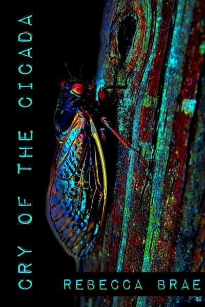 Produktbild: Cry of the Cicada (Short)