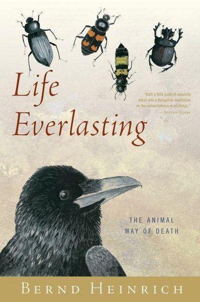 Produktbild: Life Everlasting