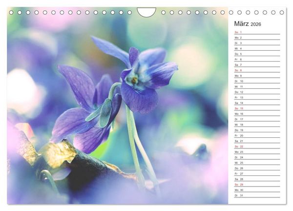 Produktbild: Blumenfreude Terminkalender (Wandkalender 2026 DIN A4 quer), CALVENDO Monatskalender