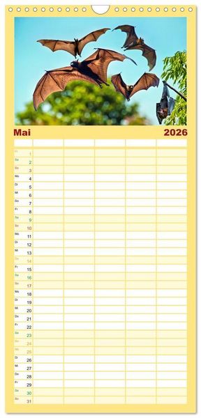 Produktbild: Familienplaner 2026 - Flughunde - Meister der Nacht mit 5 Spalten (Wandkalender, 21 x 45 cm) CALVENDO