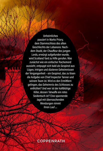 Produktbild: Das indische Tuch
