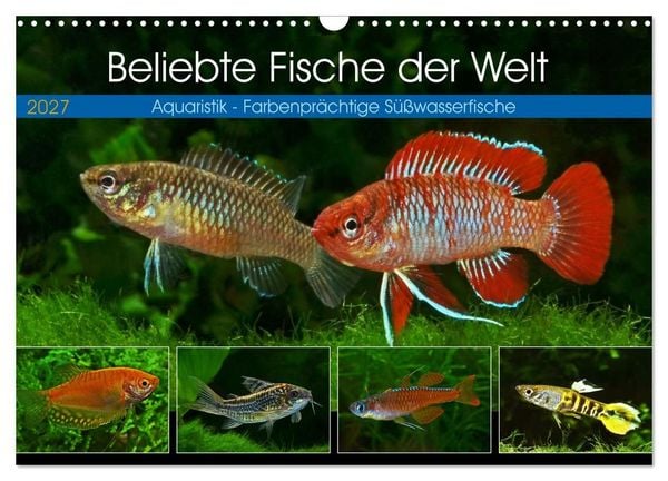 Produktbild: Beliebte Fische der Welt (Wandkalender 2027 DIN A3 quer), CALVENDO Monatskalender