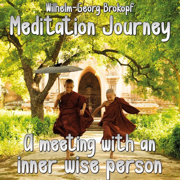 A Meeting With an Inner Wise Person - Wilhelm-Georg Brokopf, Audio, 9783691495447