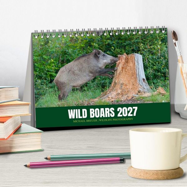 Produktbild: Wild Boars (Desk Calendar 2027 DIN A5 landscape), CALVENDO 12 Month DeskCalendar