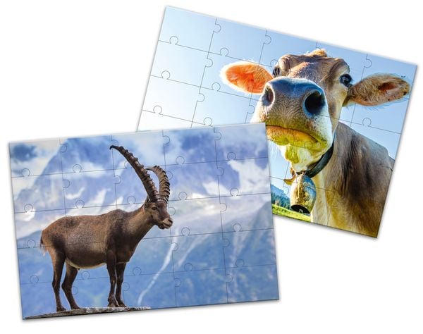 Produktbild: SCHUBI LesePuzzles