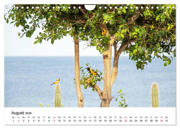 Produktbild: Curacao, die facettenreiche Karibikinsel (Wandkalender 2026 DIN A4 quer), CALVENDO Monatskalender