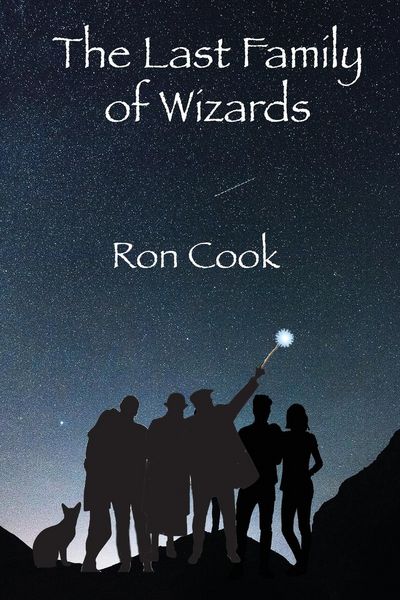 Produktbild: The Last Family of Wizards