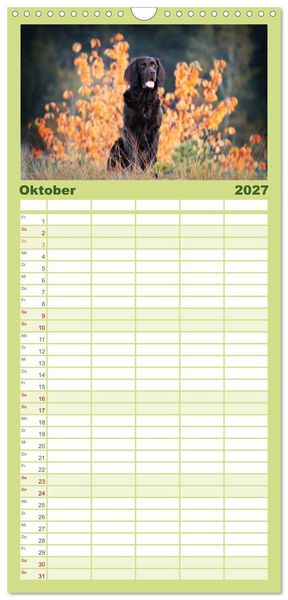 Produktbild: Familienplaner 2027 - Jagdhund im Portrait - Deutsch Langhaar mit 5 Spalten (Wandkalender, 21 x 45 cm) CALVENDO