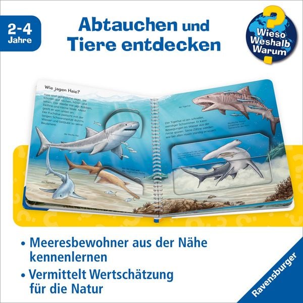 Produktbild: Wieso? Weshalb? Warum? junior, Band 57 - Tiere im Meer