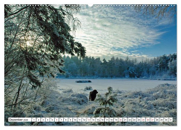 Produktbild: Wundersch&ouml;nes Emsland (Wandkalender 2026 DIN A2 quer), CALVENDO Monatskalender