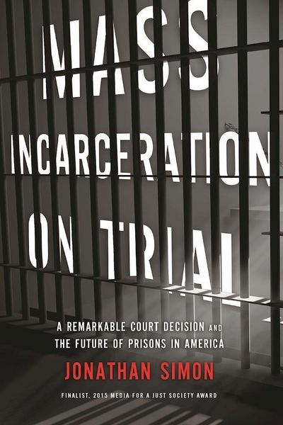 Produktbild: Mass Incarceration on Trial