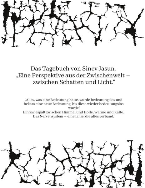 Produktbild: Das Tagebuch von Sinev Jasun. "Eine Perspektive aus der Zwischenwelt - zwischen Schatten und Licht."