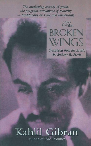 Produktbild: The Broken Wings