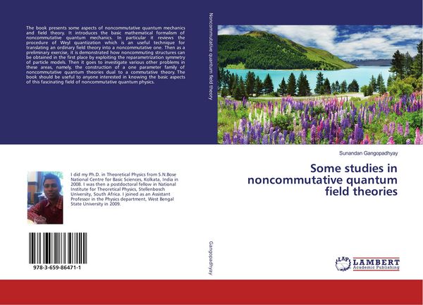 Produktbild: Some studies in noncommutative quantum field theories