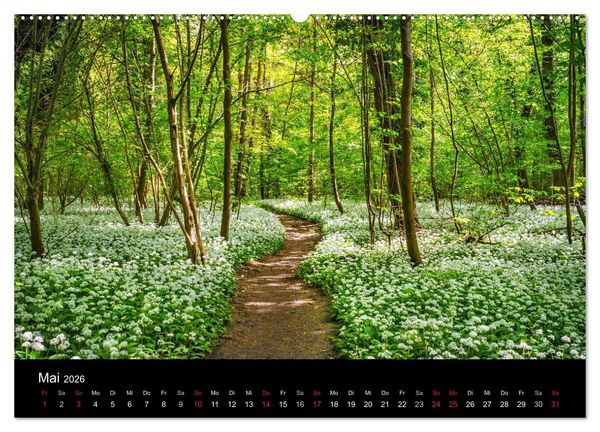 Produktbild: Mannheimer Waldpark (Wandkalender 2026 DIN A2 quer), CALVENDO Monatskalender