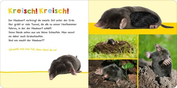 Produktbild: Hör mal rein, wer kann das sein? – Im Garten