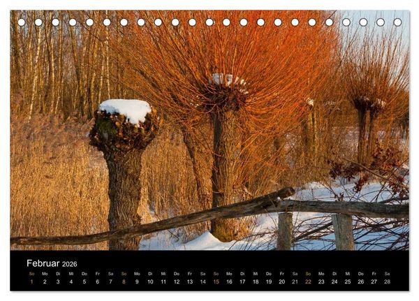 Produktbild: Brandenburg - Landschaften zwischen Elbe und Oder (Tischkalender 2026 DIN A5 quer), CALVENDO Monatskalender