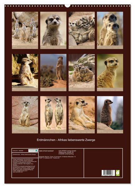 Produktbild: Erdm&auml;nnchen - Afrikas liebenswerte Zwerge (Wandkalender 2026 DIN A2 hoch), CALVENDO Monatskalender