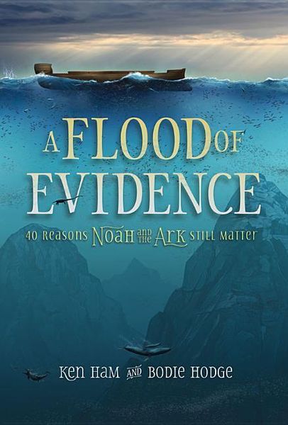 Produktbild: A Flood of Evidence