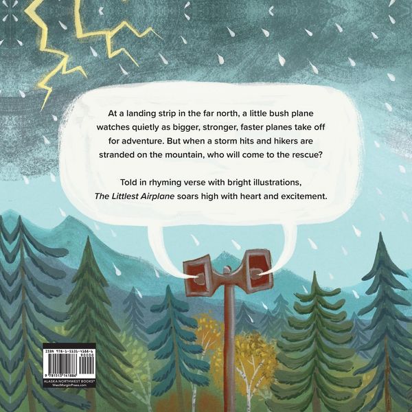 Produktbild: The Littlest Airplane