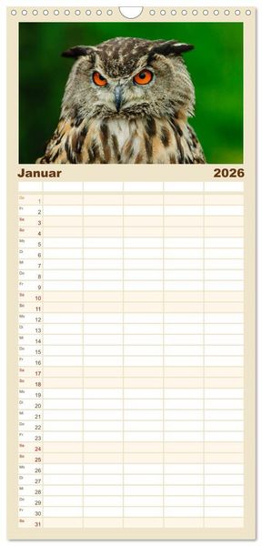 Produktbild: Familienplaner 2026 - Eulen. Gefiederte Weisheit mit 5 Spalten (Wandkalender, 21 x 45 cm) CALVENDO