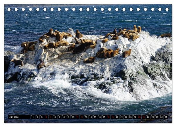 Produktbild: Argentinien - Von Iguazu bis Feuerland (Tischkalender 2026 DIN A5 quer), CALVENDO Monatskalender