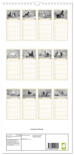 Produktbild: Familienplaner 2026 - Arabische Pferde mit 5 Spalten (Wandkalender, 21 x 45 cm) CALVENDO