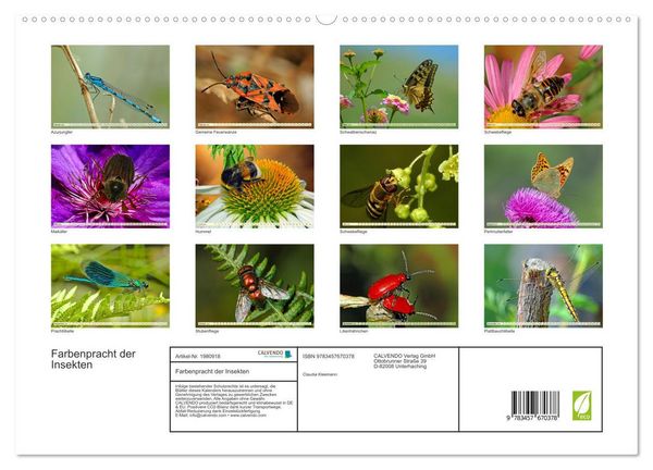 Produktbild: Farbenpracht der Insekten (hochwertiger Premium Wandkalender 2026 DIN A2 quer), Kunstdruck in Hochglanz