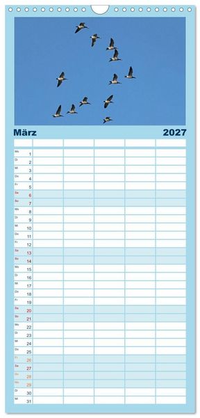 Produktbild: Familienplaner 2027 - V&ouml;gel im Flug - Akrobaten der L&uuml;fte mit 5 Spalten (Wandkalender, 21 x 45 cm) CALVENDO