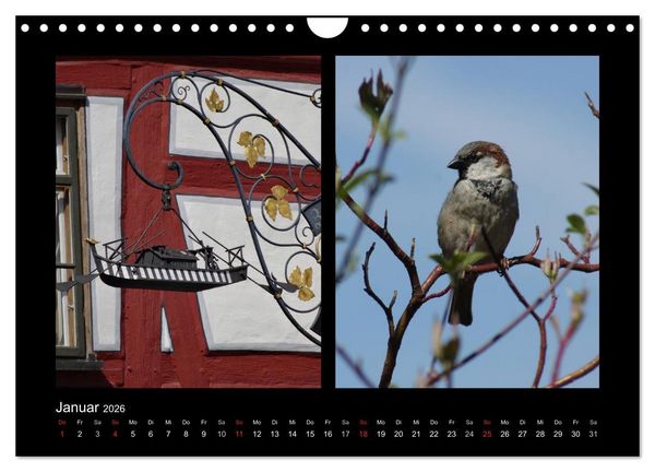 Produktbild: Ulmer Spatzen (Wandkalender 2026 DIN A4 quer), CALVENDO Monatskalender