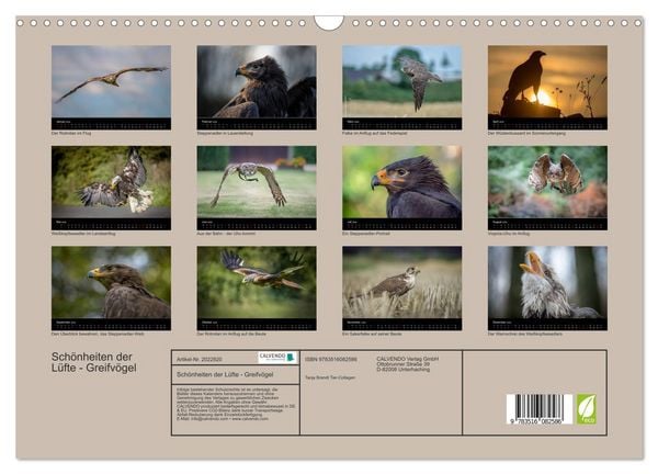 Produktbild: Sch&ouml;nheiten der L&uuml;fte - Greifv&ouml;gel (Wandkalender 2026 DIN A3 quer), CALVENDO Monatskalender