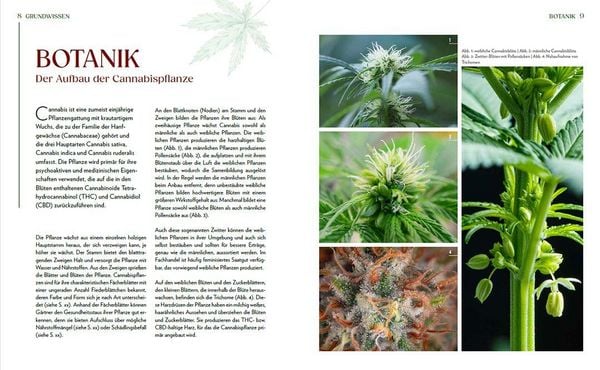 Produktbild: Cannabis-Anbau f&uuml;r Anf&auml;nger