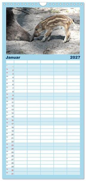 Produktbild: Familienplaner 2027 - Tierische Schweinerei mit 5 Spalten (Wandkalender, 21 x 45 cm) CALVENDO