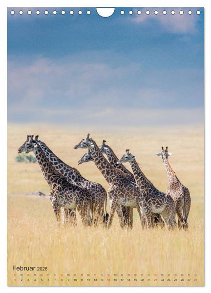 Produktbild: Emotionale Momente: Giraffen, die h&ouml;chsten Tiere der Welt. (Wandkalender 2026 DIN A4 hoch), CALVENDO Monatskalender