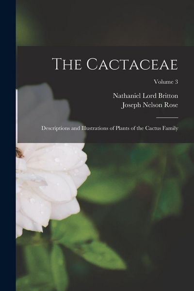 Produktbild: The Cactaceae