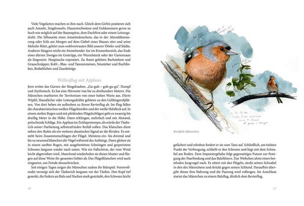 Produktbild: Gartenv&ouml;gel