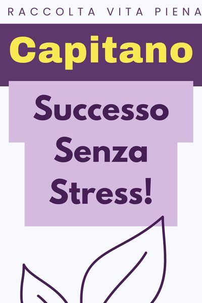 Produktbild: Successo Senza Stress! (Raccolta Vita Piena, #39)