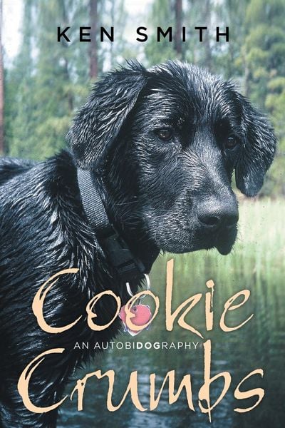 Produktbild: Cookie Crumbs