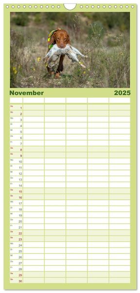 Familienplaner 2025 - Jagdhunde bei der Arbeit mit 5 Spalten (Wandkalender, 21 x 45 cm) CALVENDO