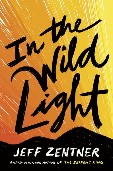 Produktbild: In The Wild Light