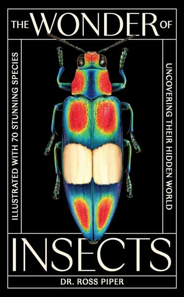 Produktbild: The Wonder of Insects: Uncovering their Hidden World