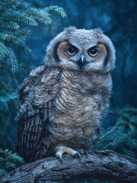 Produktbild: CALVENDO Puzzle Mehr Flausch geht nicht | 1000 Teile Lege-Gr&ouml;&szlig;e 64x48cm Foto-Puzzle f&uuml;r gl&uuml;ckliche Stunden
