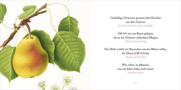 Produktbild: Weise gehen in den Garten