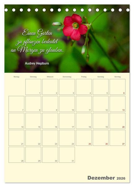 Produktbild: Gartenliebe (Tischkalender 2026 DIN A5 hoch), CALVENDO Monatskalender