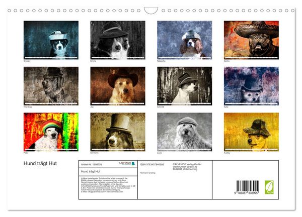 Produktbild: Hund tr&auml;gt Hut (Wandkalender 2026 DIN A3 quer), CALVENDO Monatskalender